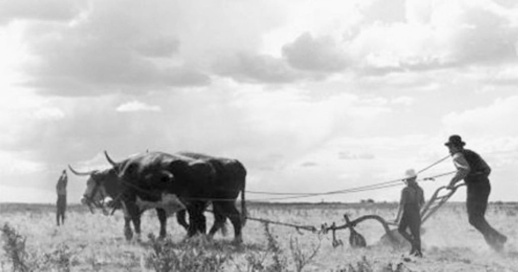 Drylanders, movie, image, NFB,