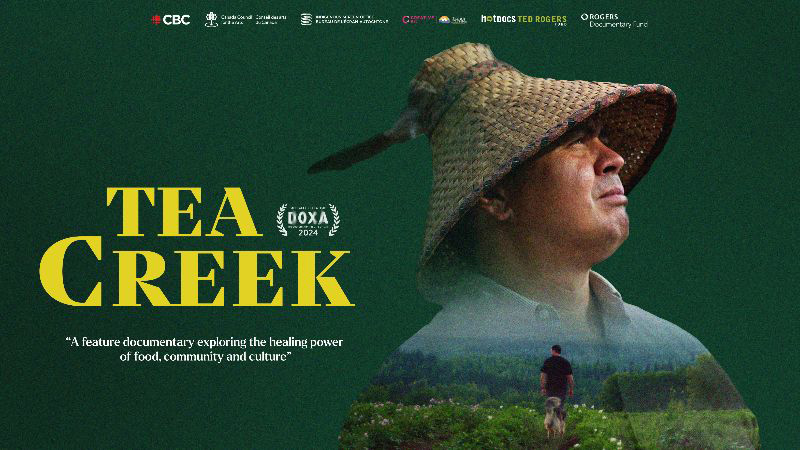 Tea Creek, movie. documentary, image,